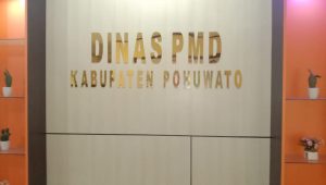 pmd